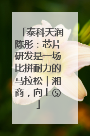 泰科天润陈彤：芯片研发是一场比拼耐力的马拉松｜湘商，向上⑤