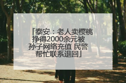 泰安：老人卖樱桃挣得2000余元被孙子网络充值 民警帮忙联系退回