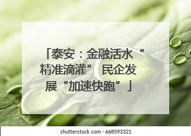 泰安：金融活水“精准滴灌” 民企发展“加速快跑”