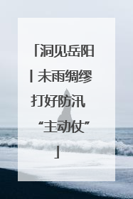 洞见岳阳丨未雨绸缪 打好防汛“主动仗”