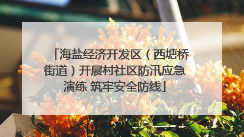 海盐经济开发区（西塘桥街道）开展村社区防汛应急演练 筑牢安全防线