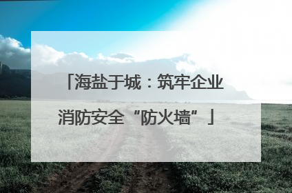 海盐于城：筑牢企业消防安全“防火墙”