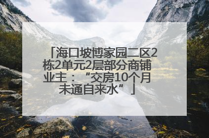 海口坡博家园二区2栋2单元2层部分商铺业主：“交房10个月未通自来水”