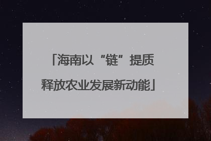 海南以“链”提质 释放农业发展新动能
