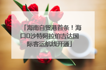 海南自贸港首条！海口⇌沙特阿拉伯吉达国际客运航线开通