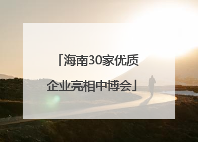 海南30家优质企业亮相中博会