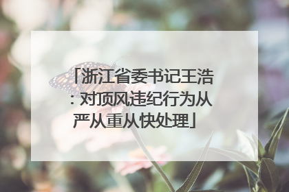 浙江省委书记王浩：对顶风违纪行为从严从重从快处理