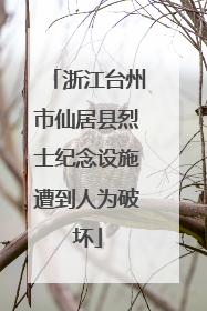 浙江台州市仙居县烈士纪念设施遭到人为破坏