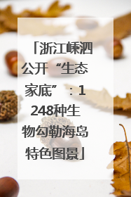 浙江嵊泗公开“生态家底”：1248种生物勾勒海岛特色图景