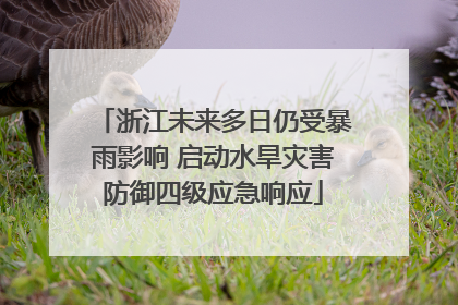 浙江未来多日仍受暴雨影响 启动水旱灾害防御四级应急响应