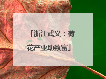 浙江武义：荷花产业助致富