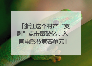 浙江这个村产“爽剧”点击量破亿，入围电影节竞赛单元