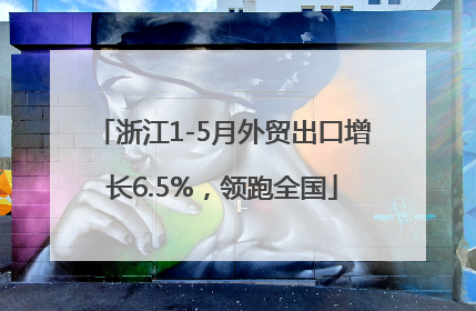 浙江1-5月外贸出口增长6.5%，领跑全国