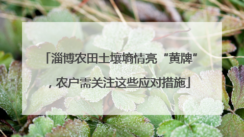 淄博农田土壤墒情亮“黄牌”，农户需关注这些应对措施