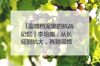 淄博档案里的抗战记忆｜李培南：从长征到抗大，再到淄博的革命足迹