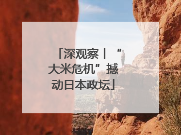 深观察丨“大米危机”撼动日本政坛