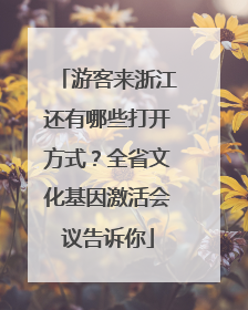 游客来浙江还有哪些打开方式？全省文化基因激活会议告诉你