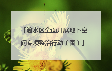 渝水区全面开展地下空间专项整治行动（图）