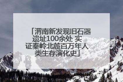 渭南新发现旧石器遗址100余处 实证秦岭北麓百万年人类生存演化史