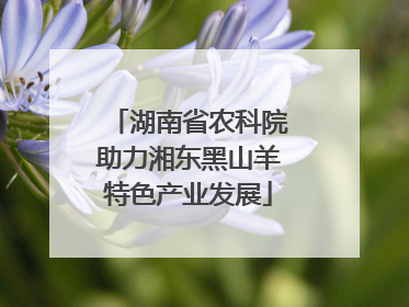 湖南省农科院助力湘东黑山羊特色产业发展