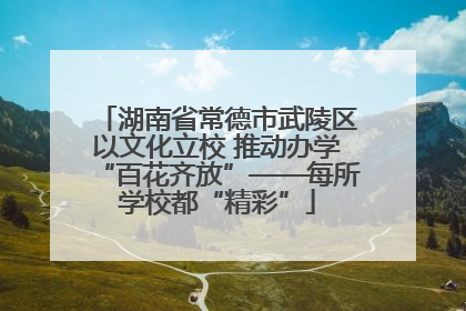 湖南省常德市武陵区以文化立校 推动办学“百花齐放”——每所学校都“精彩”