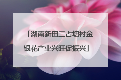 湖南新田三占塘村金银花产业兴旺促振兴