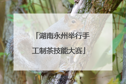 湖南永州举行手工制茶技能大赛