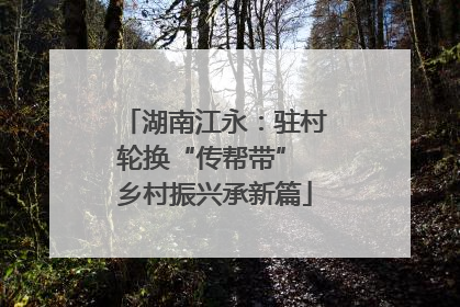 湖南江永：驻村轮换“传帮带” 乡村振兴承新篇