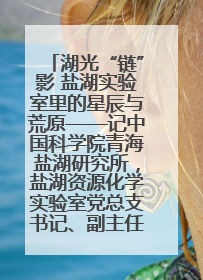 湖光“链”影 盐湖实验室里的星辰与荒原——记中国科学院青海盐湖研究所，盐湖资源化学实验室党总支书记、副主任刘忠