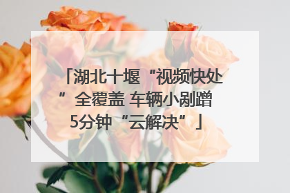 湖北十堰“视频快处”全覆盖 车辆小剐蹭5分钟“云解决”