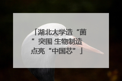 湖北大学造“菌”突围 生物制造点亮“中国芯”
