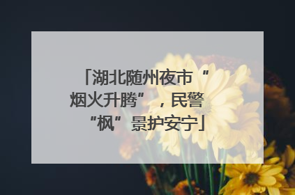 湖北随州夜市“烟火升腾”，民警“枫”景护安宁