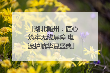 湖北随州：匠心筑牢无线屏障 电波护航华夏盛典