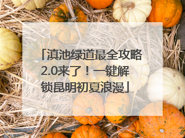 滇池绿道最全攻略2.0来了！一键解锁昆明初夏浪漫