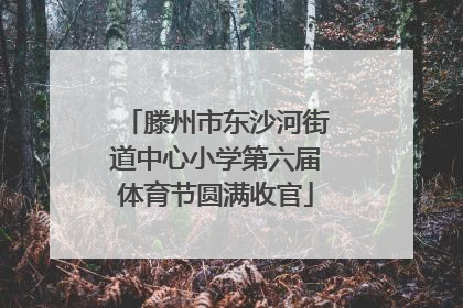 滕州市东沙河街道中心小学第六届体育节圆满收官