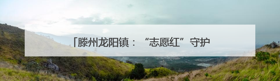 滕州龙阳镇：“志愿红”守护“丰收黄”夏收一线显担当