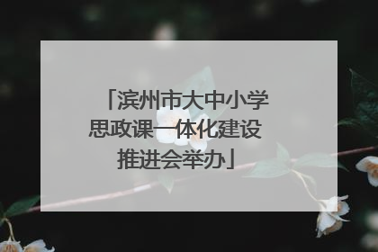 滨州市大中小学思政课一体化建设推进会举办