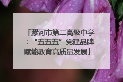 漯河市第二高级中学：“五五五”党建品牌赋能教育高质量发展