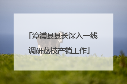 漳浦县县长深入一线调研荔枝产销工作
