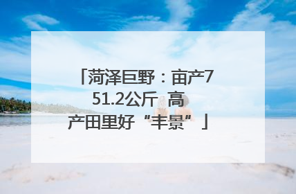 菏泽巨野：亩产751.2公斤  高产田里好“丰景”