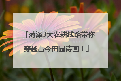 菏泽3大农耕线路带你穿越古今田园诗画！