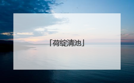 荷绽清池