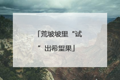 荒坡坡里“试”出希望果