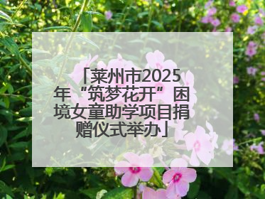 莱州市2025年“筑梦花开”困境女童助学项目捐赠仪式举办