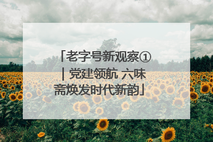 老字号新观察①｜党建领航 六味斋焕发时代新韵
