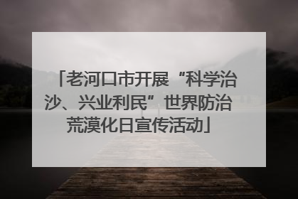 老河口市开展“科学治沙、兴业利民”世界防治荒漠化日宣传活动
