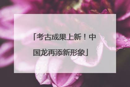 考古成果上新！中国龙再添新形象