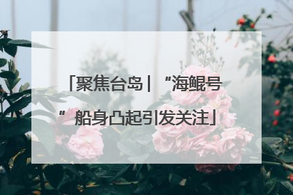 聚焦台岛│“海鲲号”船身凸起引发关注