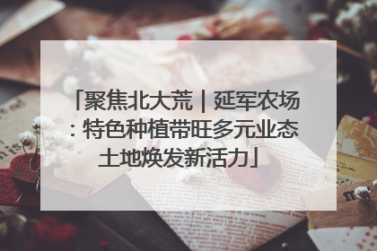 聚焦北大荒｜延军农场：特色种植带旺多元业态 土地焕发新活力