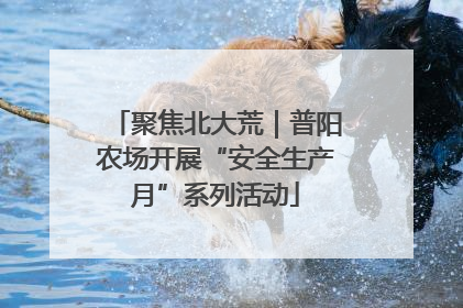聚焦北大荒｜普阳农场开展“安全生产月”系列活动